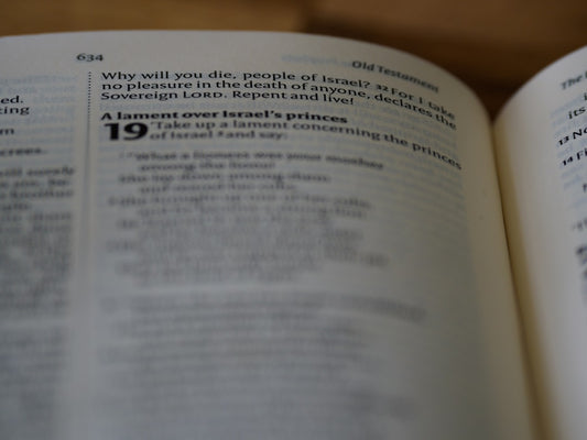 Understanding Form 843: A Complete Guide
